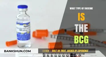 Understanding BCG: The Bacillus Calmette-Guérin Vaccine Explained