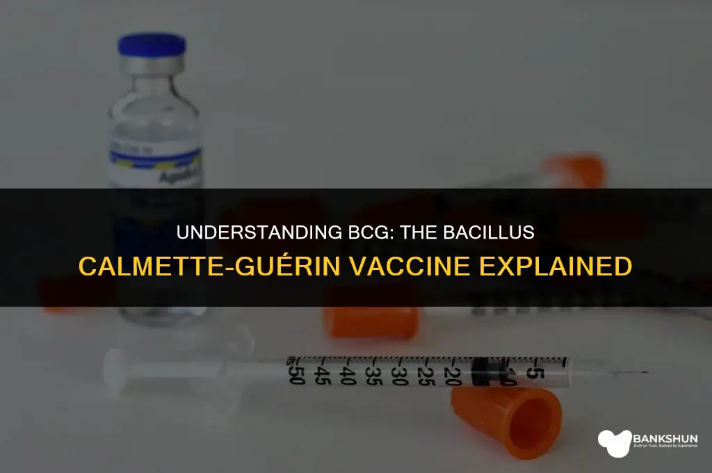 what type of vaccine is the bcg