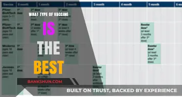 Exploring the Optimal Vaccine: A Comprehensive Guide to Making Informed Choices
