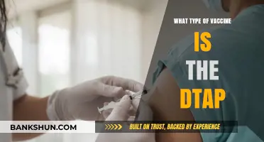 Understanding the DTaP Vaccine: Protecting Against Diphtheria, Tetanus, and Pertussis