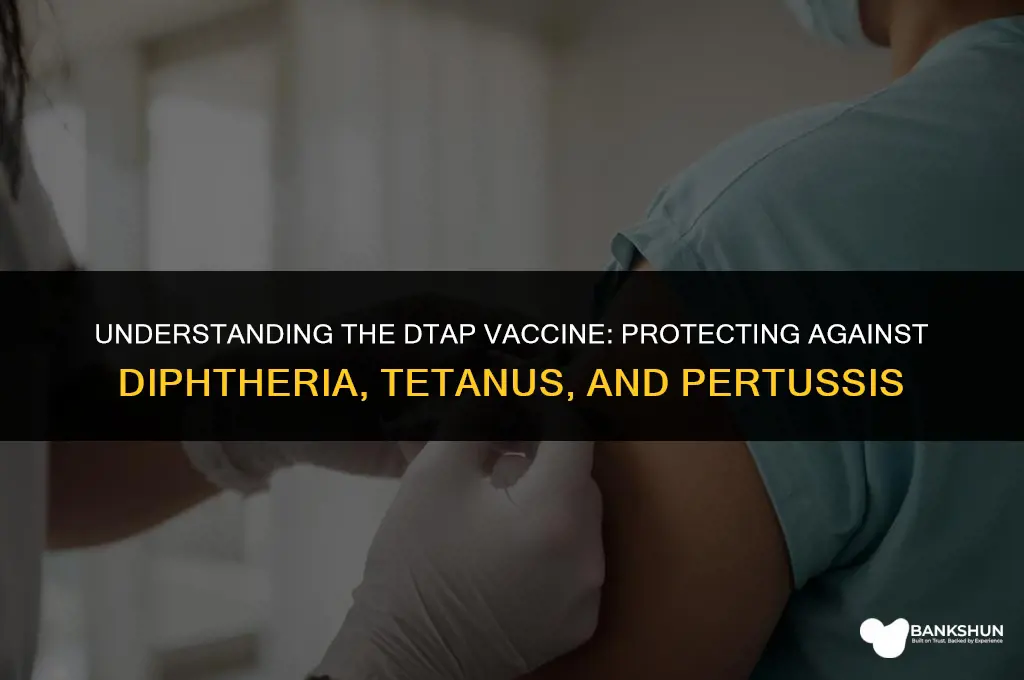 what type of vaccine is the dtap