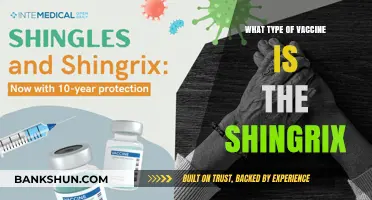 Understanding Shingrix: The Vaccine for Shingles Prevention
