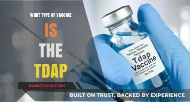 Understanding Tdap: The Vaccine Protecting Against Tetanus, Diphtheria, and Pertussis