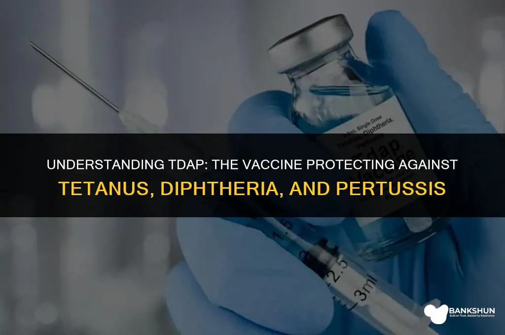 what type of vaccine is the tdap
