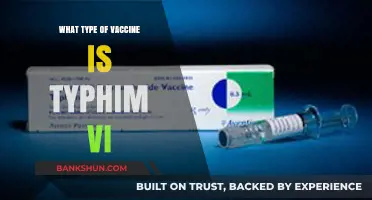 Understanding Typhim Vi: The Vi Polysaccharide Vaccine for Typhoid Fever