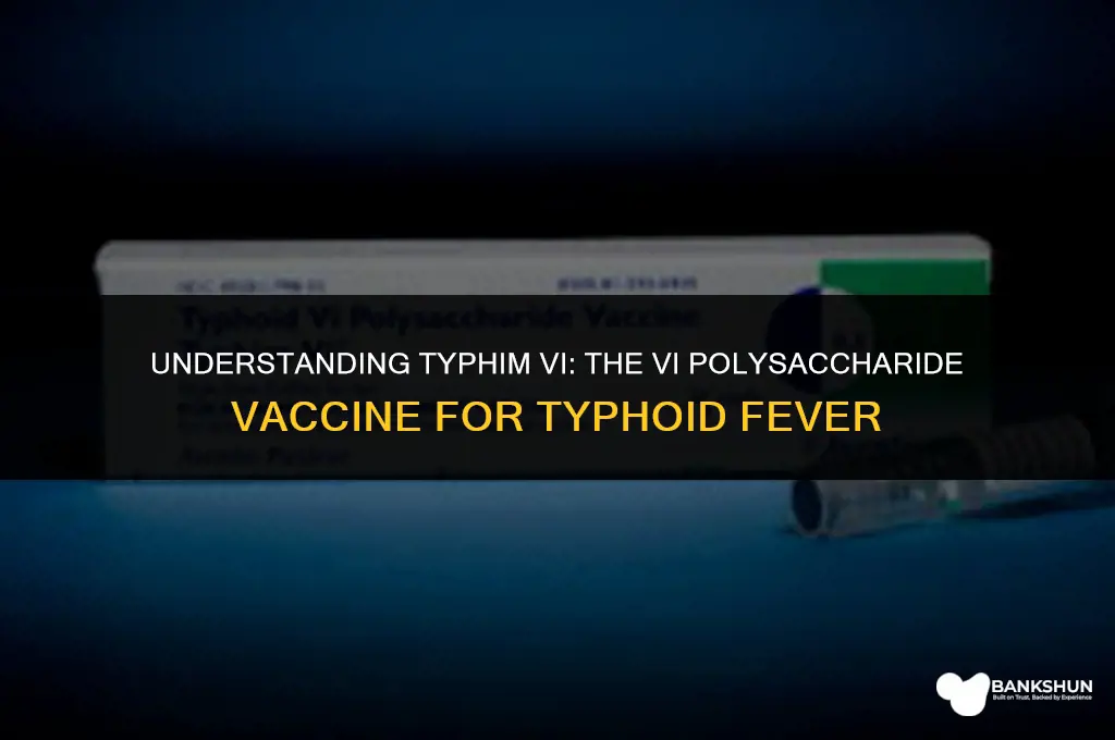 what type of vaccine is typhim vi