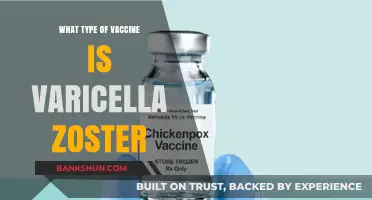 Understanding Varicella Zoster: The Chickenpox and Shingles Vaccine