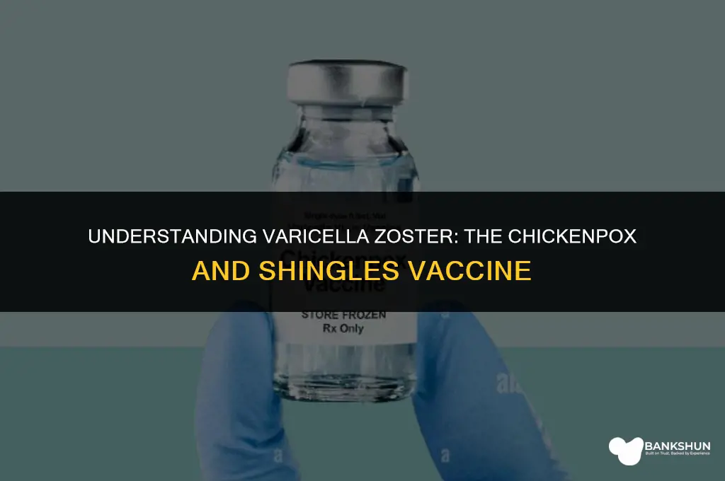 what type of vaccine is varicella zoster