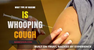 Understanding Whooping Cough Vaccines: Types and Effectiveness