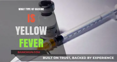 Understanding Yellow Fever Vaccines: Types and Essentials