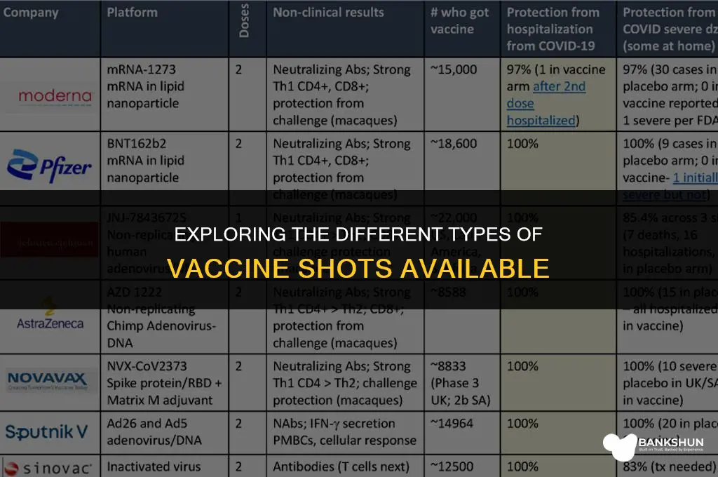 what type of vaccine shots are there