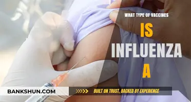 Combatting Influenza A: Understanding the Types of Vaccines Available