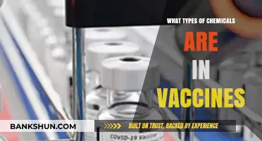 Unveiling the Chemical Composition of Vaccines: A Comprehensive Guide