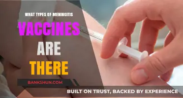 Exploring Meningitis Vaccines: Types, Benefits, and Who Needs Them