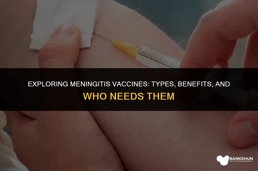 what types of meningitis vaccines are there