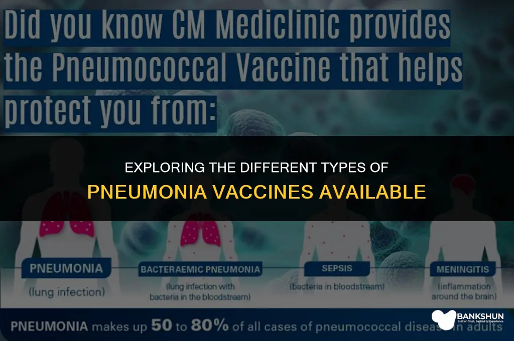 what types of pneumonia vaccines are there