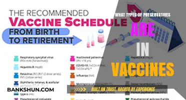 Exploring Vaccine Safety: A Guide to Common Preservatives