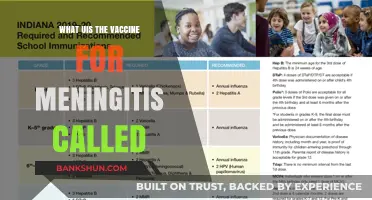 Protecting Against Meningitis: The Essential Vaccine Guide