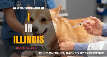 Understanding Your Vaccination Group in Illinois: A Comprehensive Guide