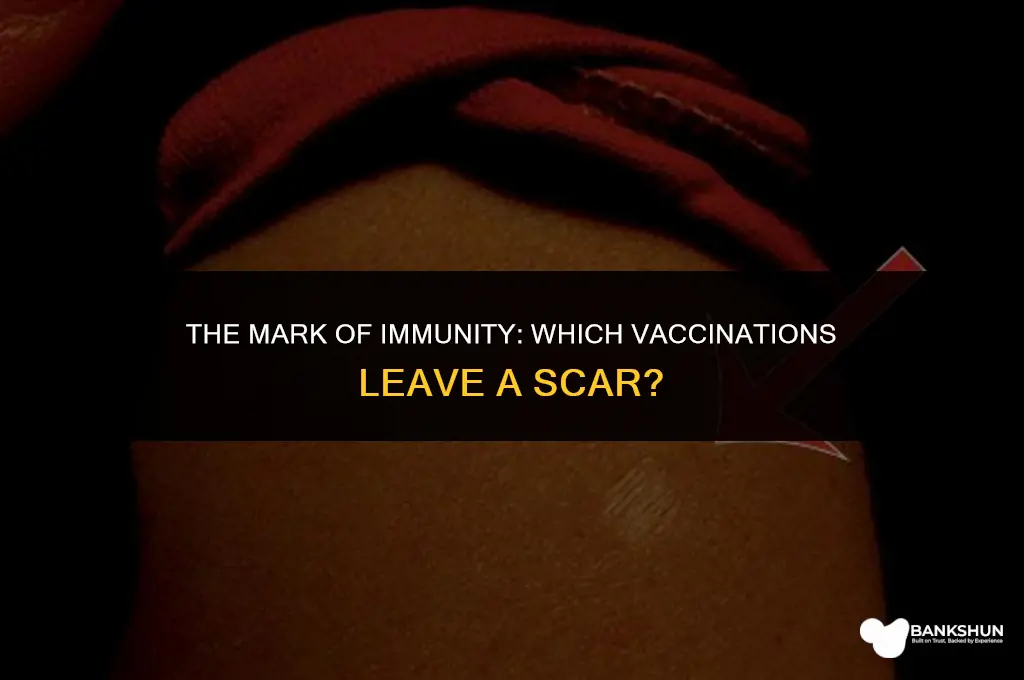 what vaccination leaves a scar on arm
