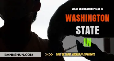 Washington State's Vaccination Progress: Current Phase and Updates