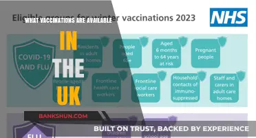 Exploring the Range of Vaccinations Offered in the UK
