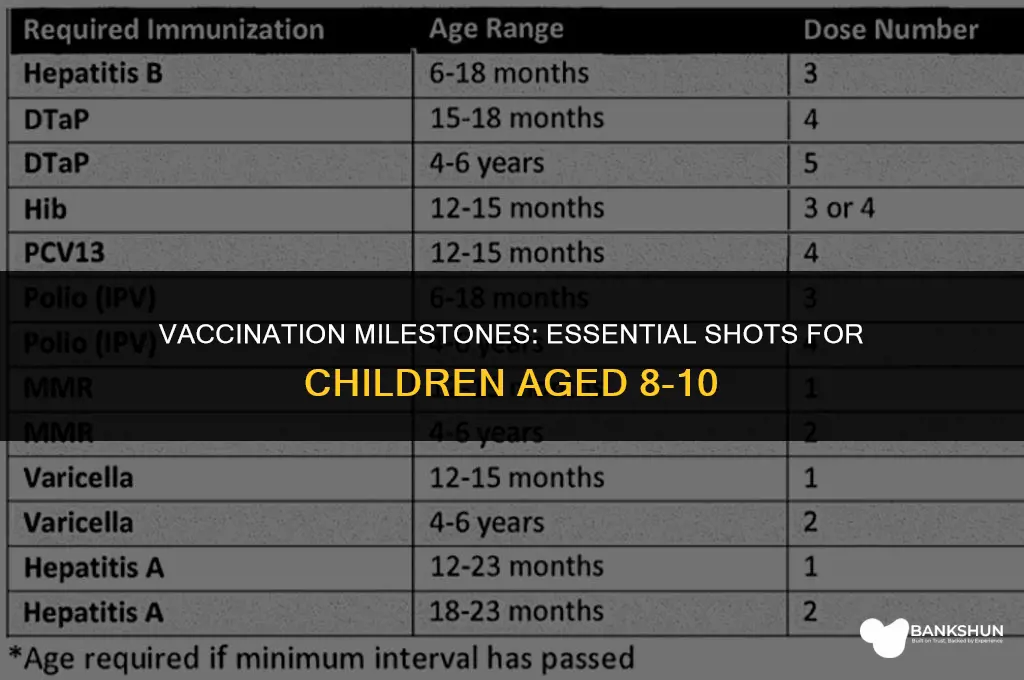 what vaccinations are due at theage of