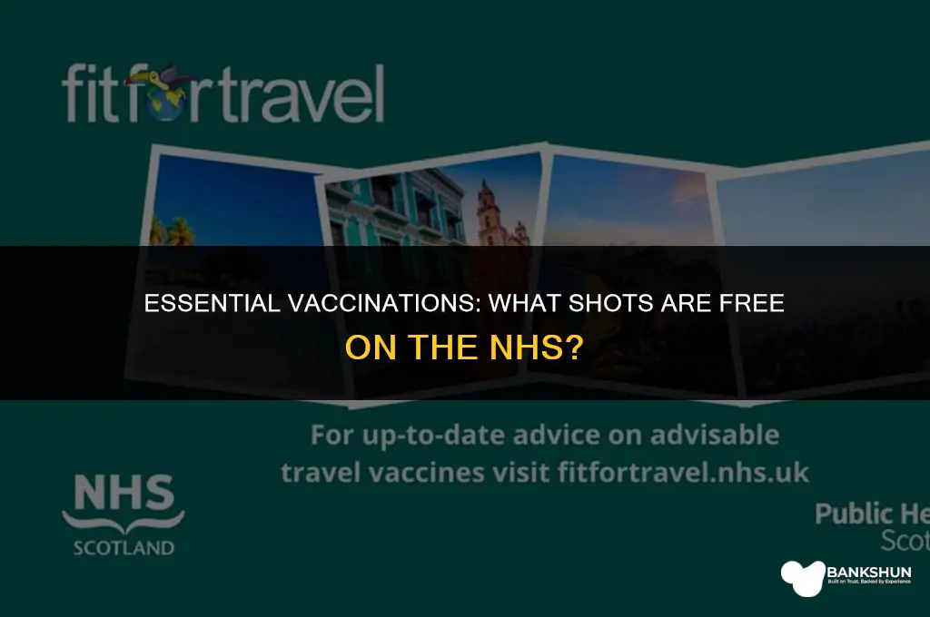 what vaccinations are free on the nhs
