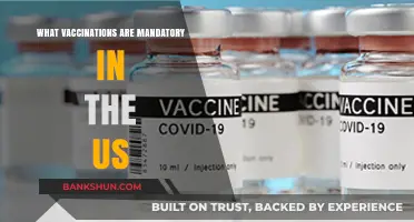 Essential Vaccinations: A Guide to Mandatory Immunizations in the US