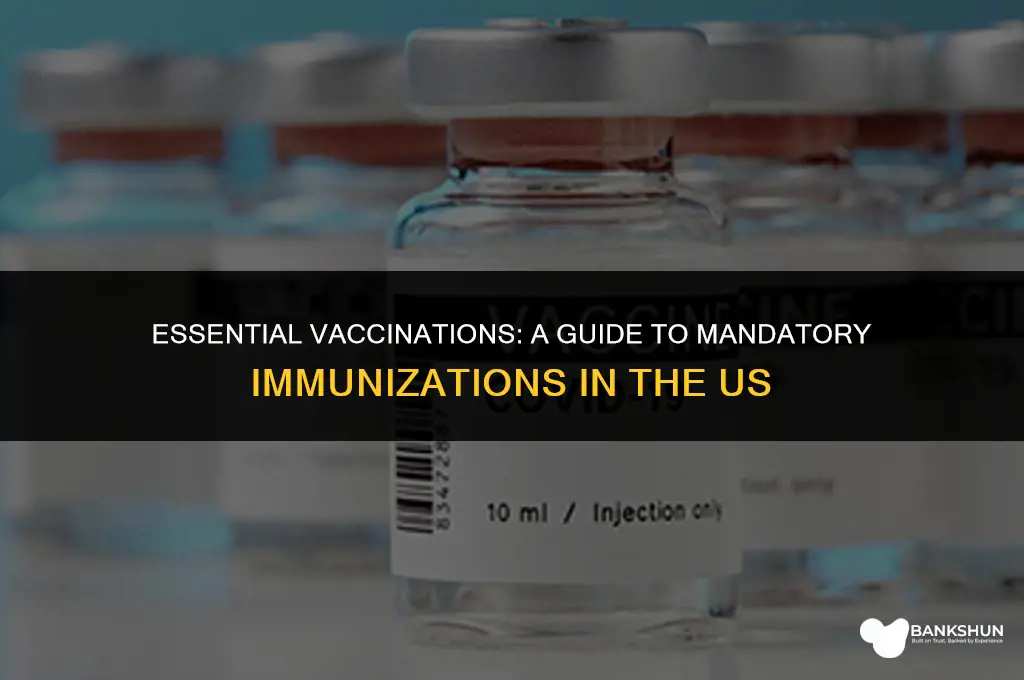 what vaccinations are mandatory in the us