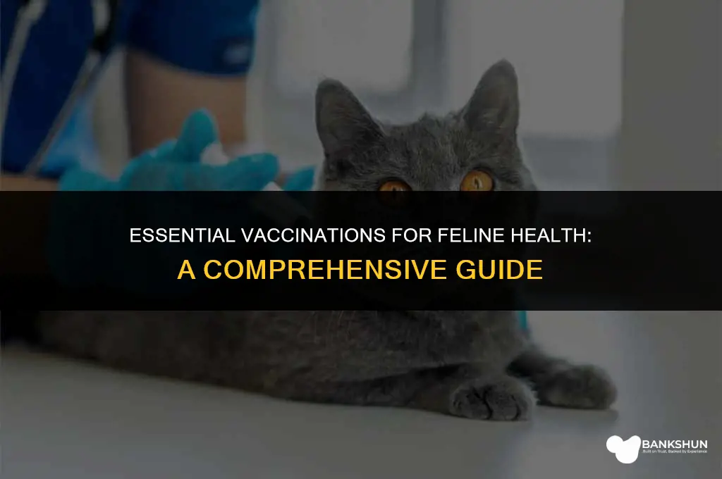 what vaccinations are most important for cats