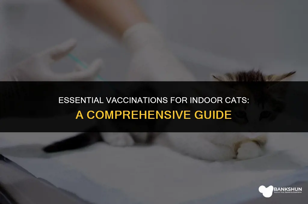 what vaccinations are necessary for indoor cats
