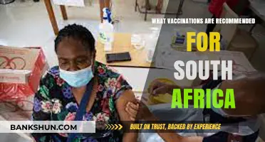 Essential Vaccinations for Travelers to South Africa: Stay Protected!