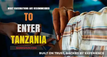 Essential Vaccinations for a Safe Journey to Tanzania