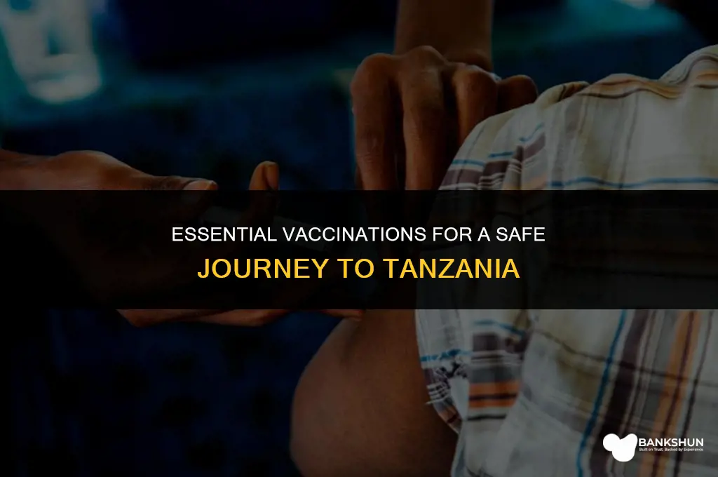 what vaccinations are recommended to enter tanzania