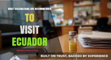Essential Vaccinations for a Safe Trip to Ecuador