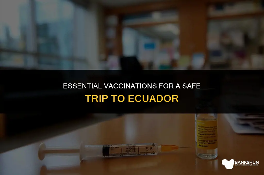what vaccinations are recommended to visit ecuador