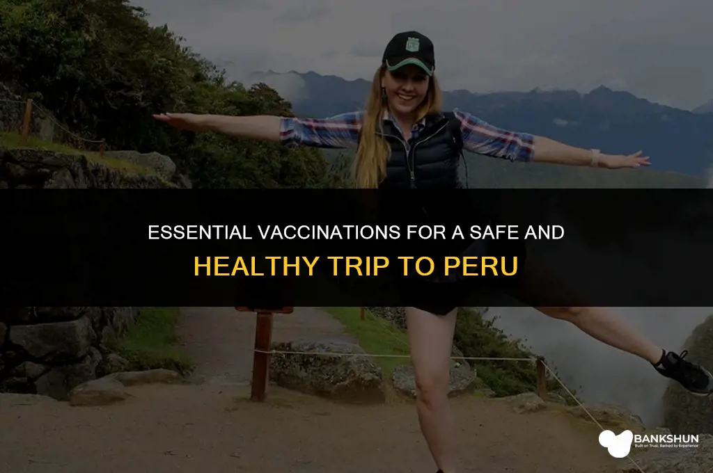 what vaccinations are recommended to visit peru