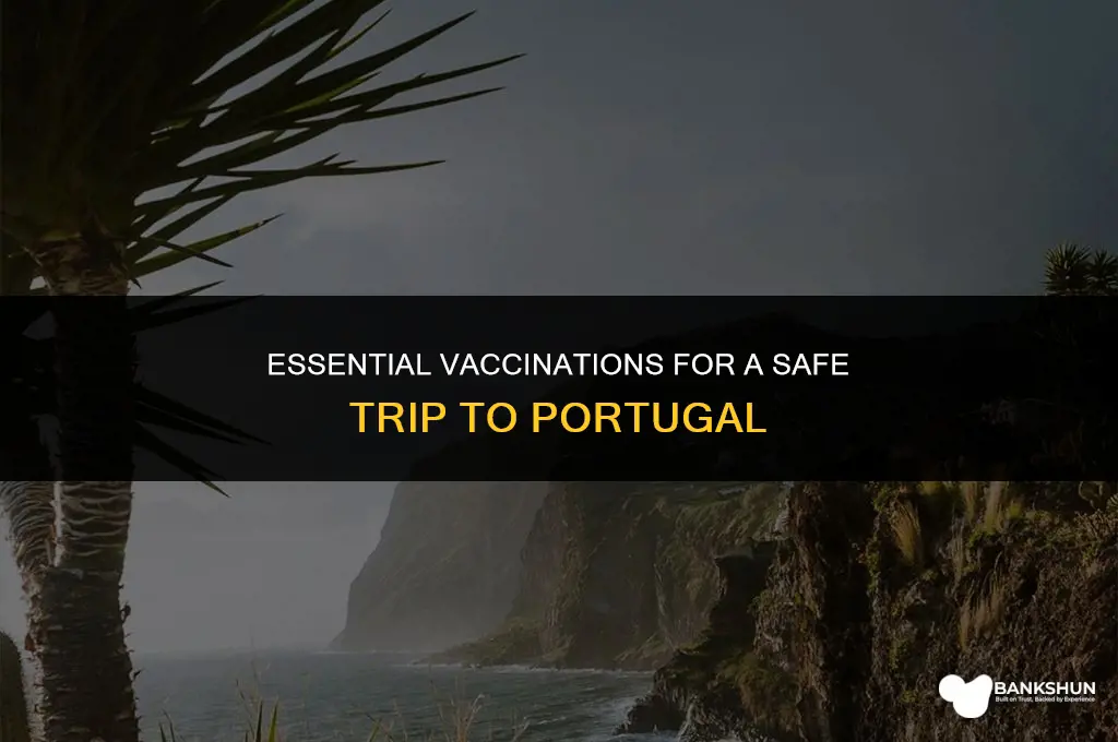 what vaccinations are suggested when visiting portugal