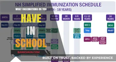Essential Vaccinations for School: Protecting Our Children's Health
