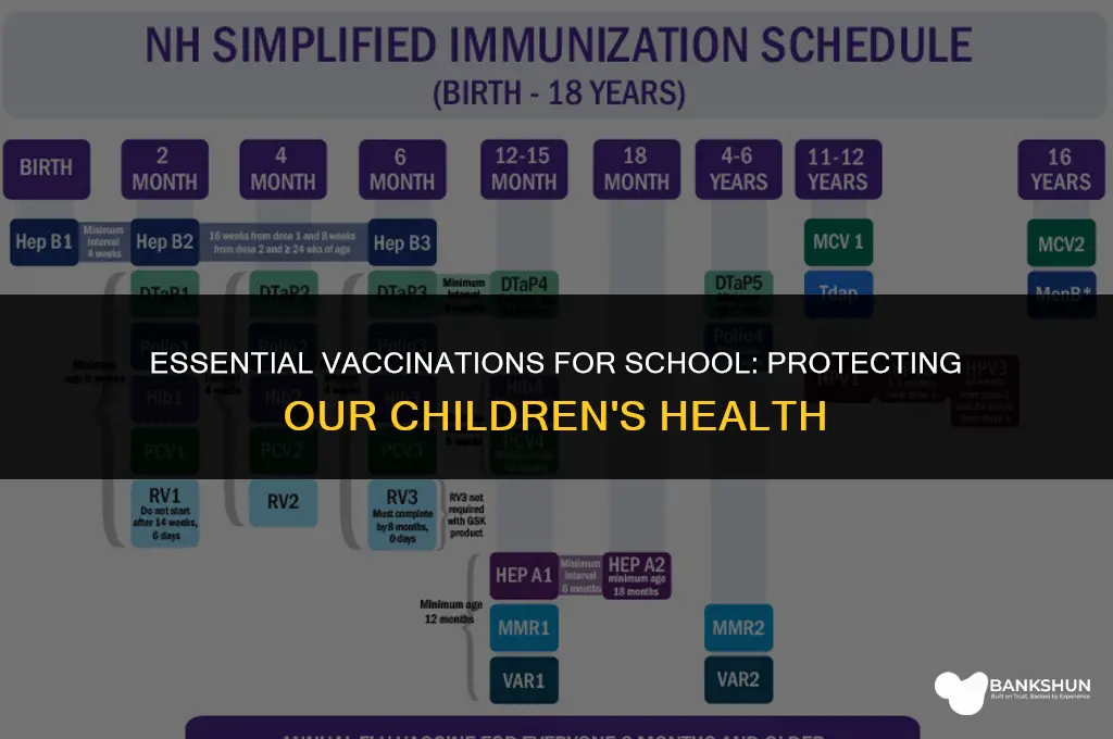 what vaccinations do you have in school