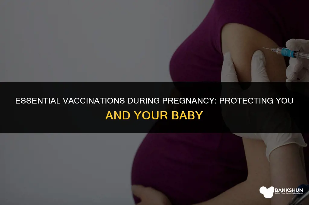 what vaccinations do you have when pregnant