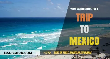 Essential Vaccinations for a Safe Trip to Mexico