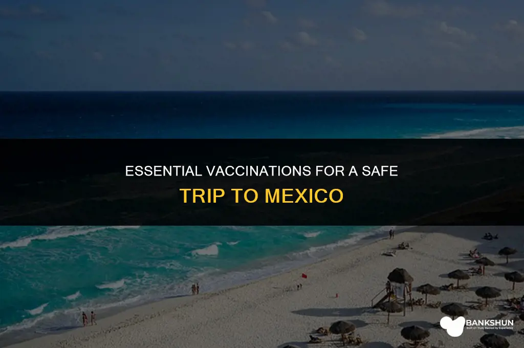 what vaccinations for a trip to mexico