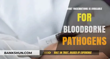 Protect Yourself: Vaccinations Against Bloodborne Pathogens