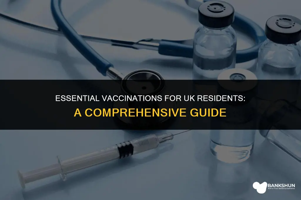 what vaccinations should i have had uk