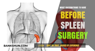 Essential Vaccinations to Consider Before Undergoing Spleen Surgery