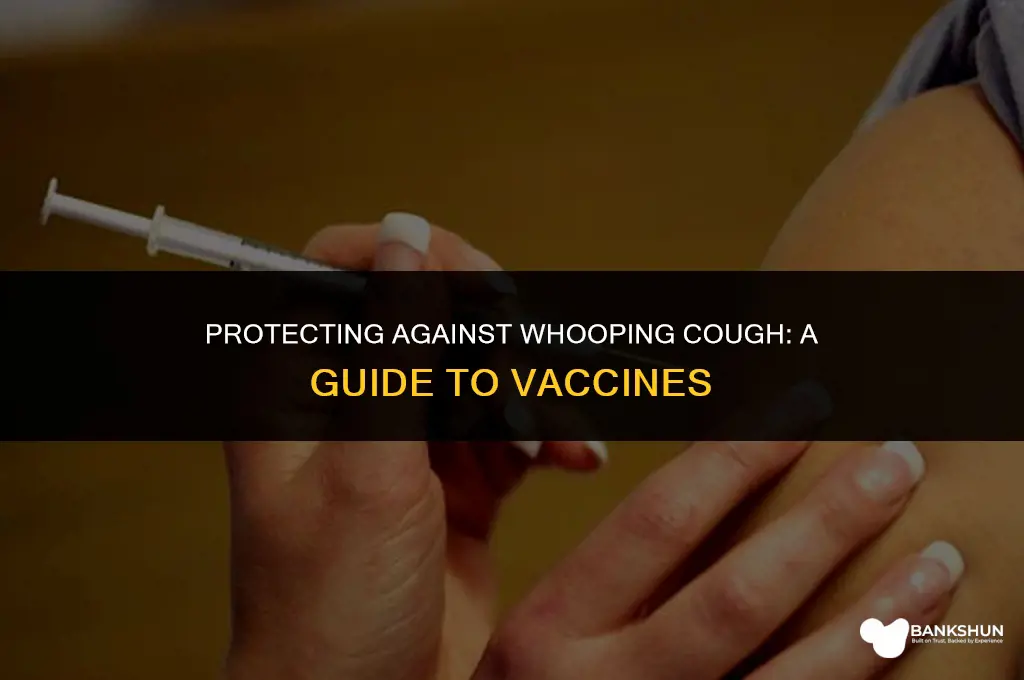 what vaccine ar for whooping cough called