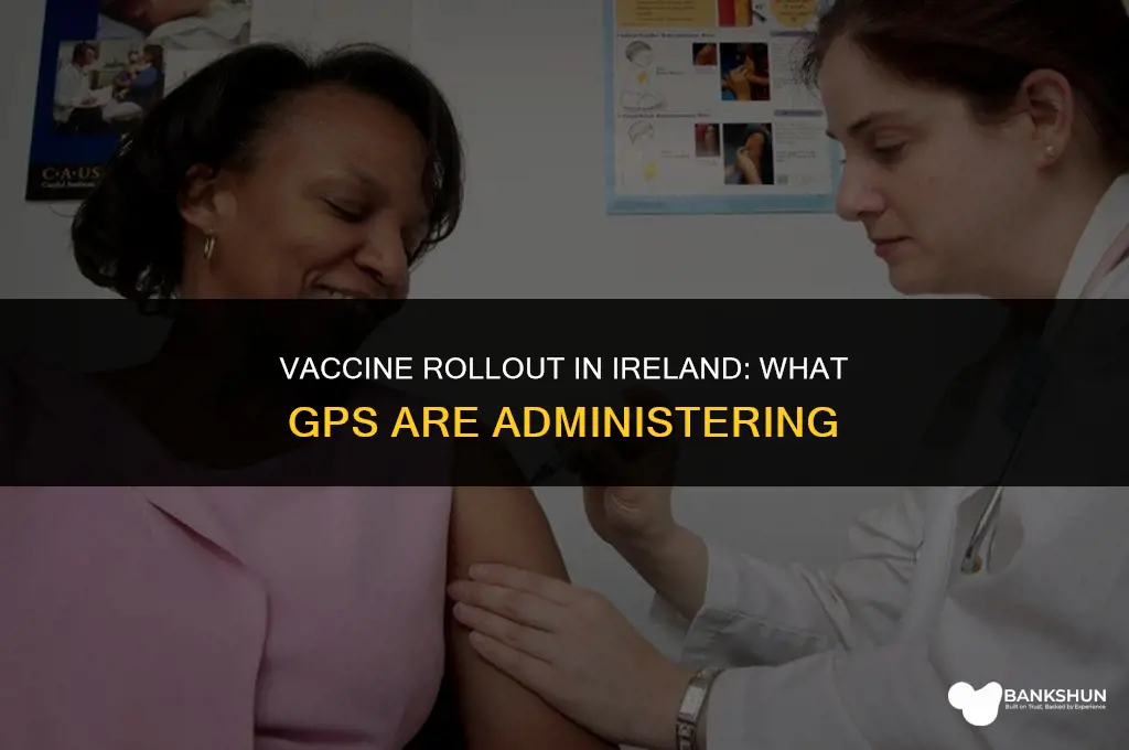 what vaccine are gps giving in ireland