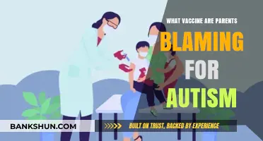 Exploring the Misinformation: Vaccine Myths and Autism